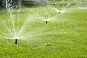 Rain Bird R-VAN Rotary Nozzles